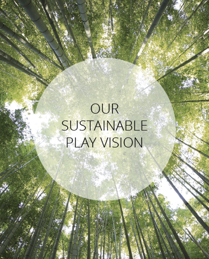 Our Sustainable Vision